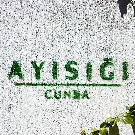 Ayisigi Hotel Ayvalik Exterior photo
